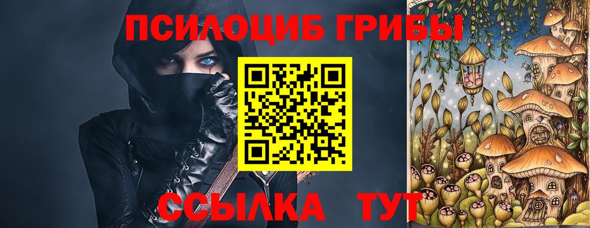 Псилоцибиновые грибы Psilocybine cubensis  Вход с VPN  Электросталь  Галлюциногенные грибы Cubensis 